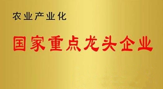 國(guó)家重點(diǎn)龍頭企業(yè)！山東三星集團(tuán)連續(xù)上榜